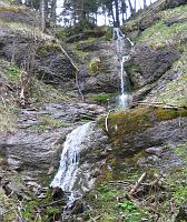  8 Mai 2010 - in der Nähe vom Ginkgo kommt der Bach wild von der Landmark herunter